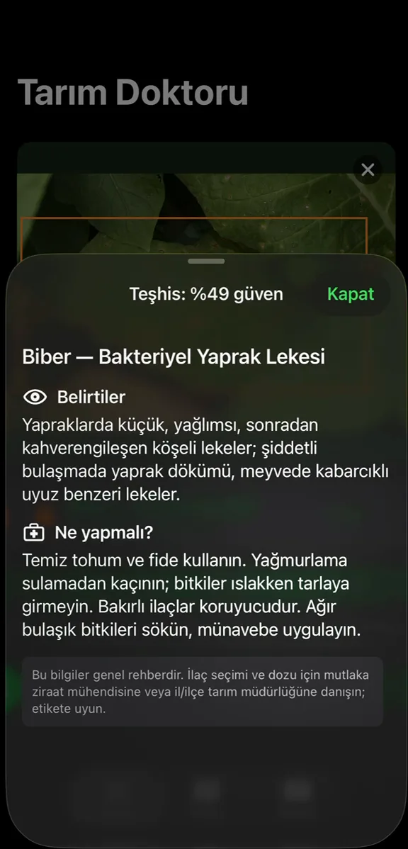 Tarım Doktoru — fotoğraftan bitki hastalığı tanıma — proje içi görsel 2