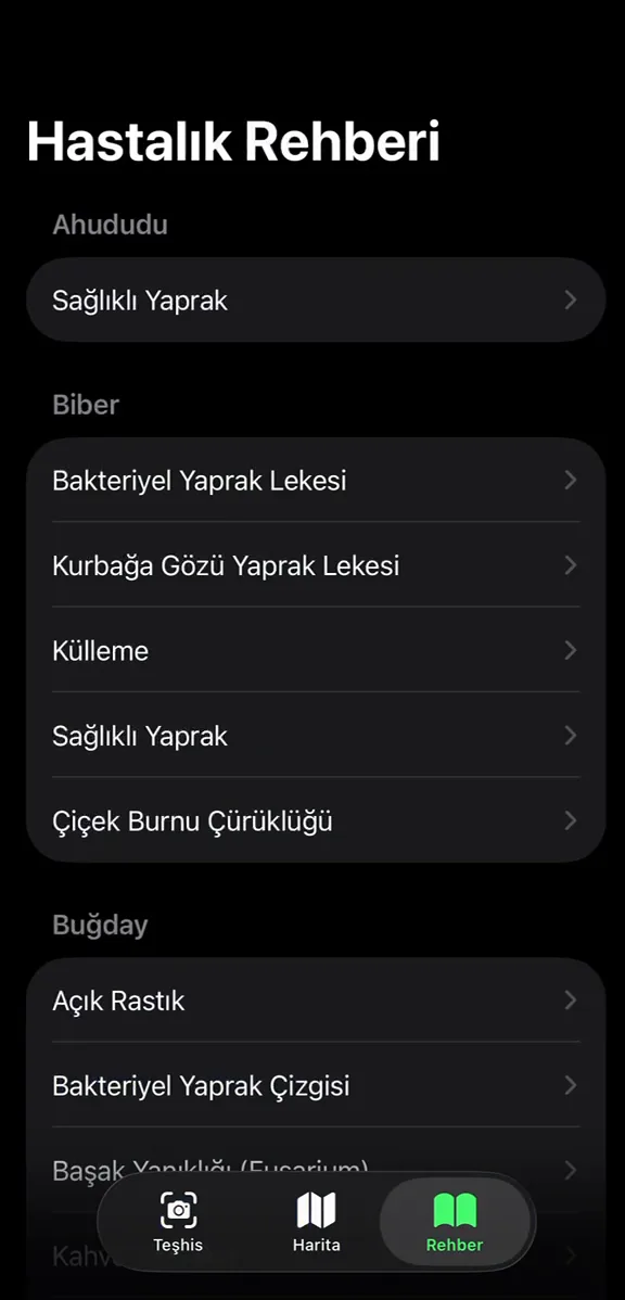 Tarım Doktoru — fotoğraftan bitki hastalığı tanıma — proje içi görsel 3