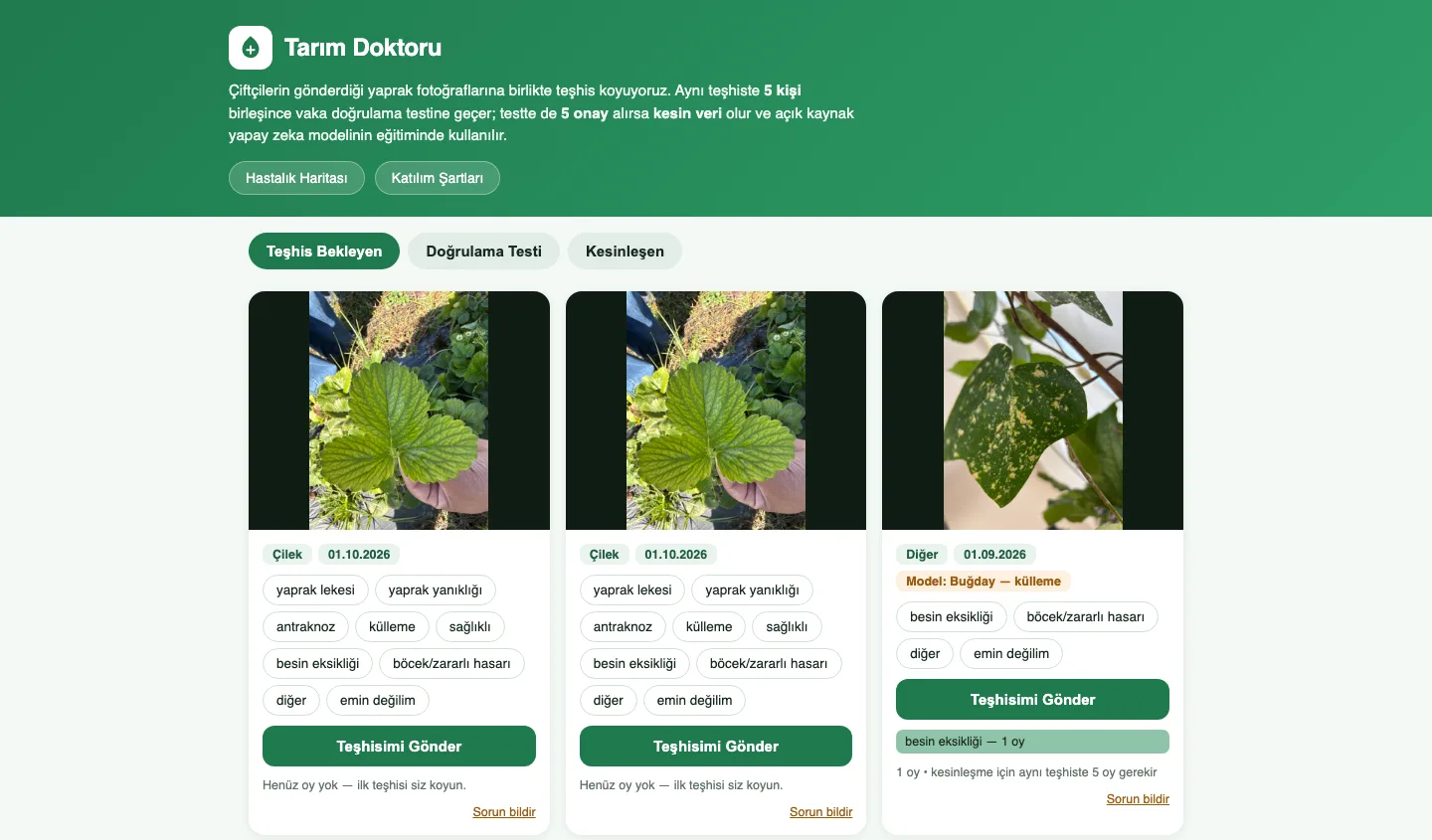Tarım Doktoru — fotoğraftan bitki hastalığı tanıma — proje içi görsel 4